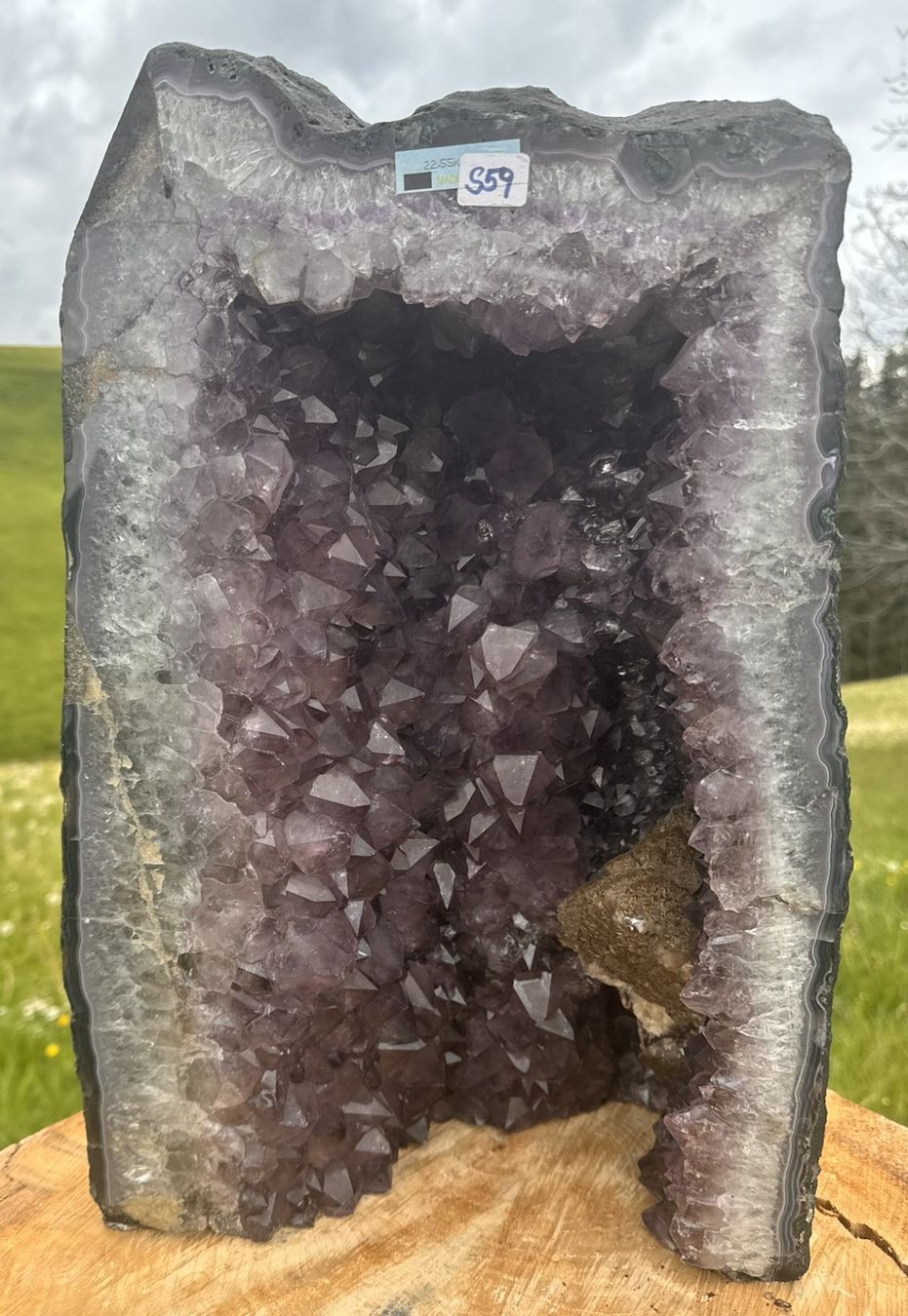Mineralien & Heilsteine: Prächtige Amethystdruse aus Brasilien – Neu (gemäss Beschreibung) aus Rheineck von  2