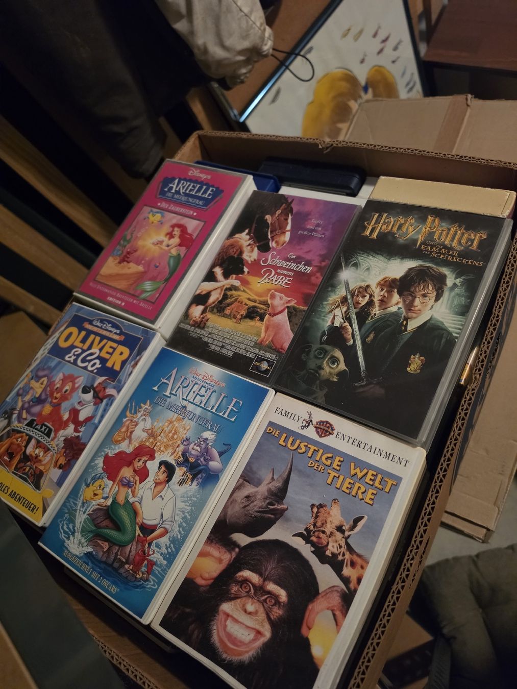 Tutti i VHS: Videokastten und Rekorder – Usato da Guntershausen venduto da van_v6f6 2