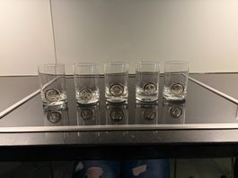5 Trinkgläser farblos graues Medaillon "Piraten" Rosenthal