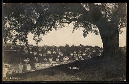AK St. Gallen, Rosenberg, Ortspanorama