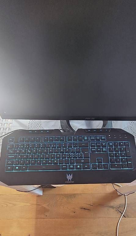 Tastiere: Predator Gaming Tastatur  – Usato da Egliswil venduto da fab_tb28