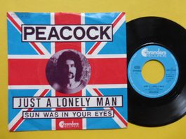 Peacock – Just A Lonely Man
