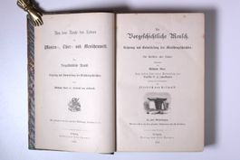 Archäologie Baer, Wilhelm: Der Vorgeschichtliche Mensch.