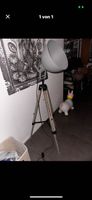Vintage Stehlampe im Industrial Style mit Stativfuss