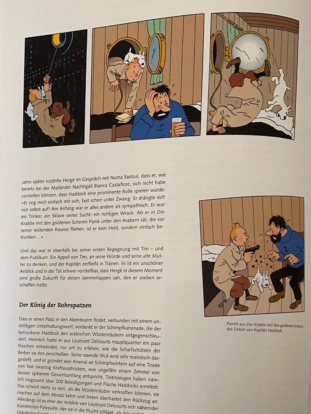 Fumetti: Tim & Co. Einzelband, Carlsen Verlag – Nuovo (secondo la descrizione) da Untersiggenthal venduto da Sascha630 2