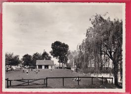 WIEDEHORN-ENGNACH, CAMPING UND BADEPLATZ, 19.7.1963