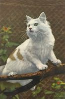 Künstlerkarte Katze, Katzen