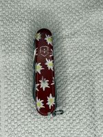 Victorinox Taschenmesser Edelweiss-Design, gebraucht