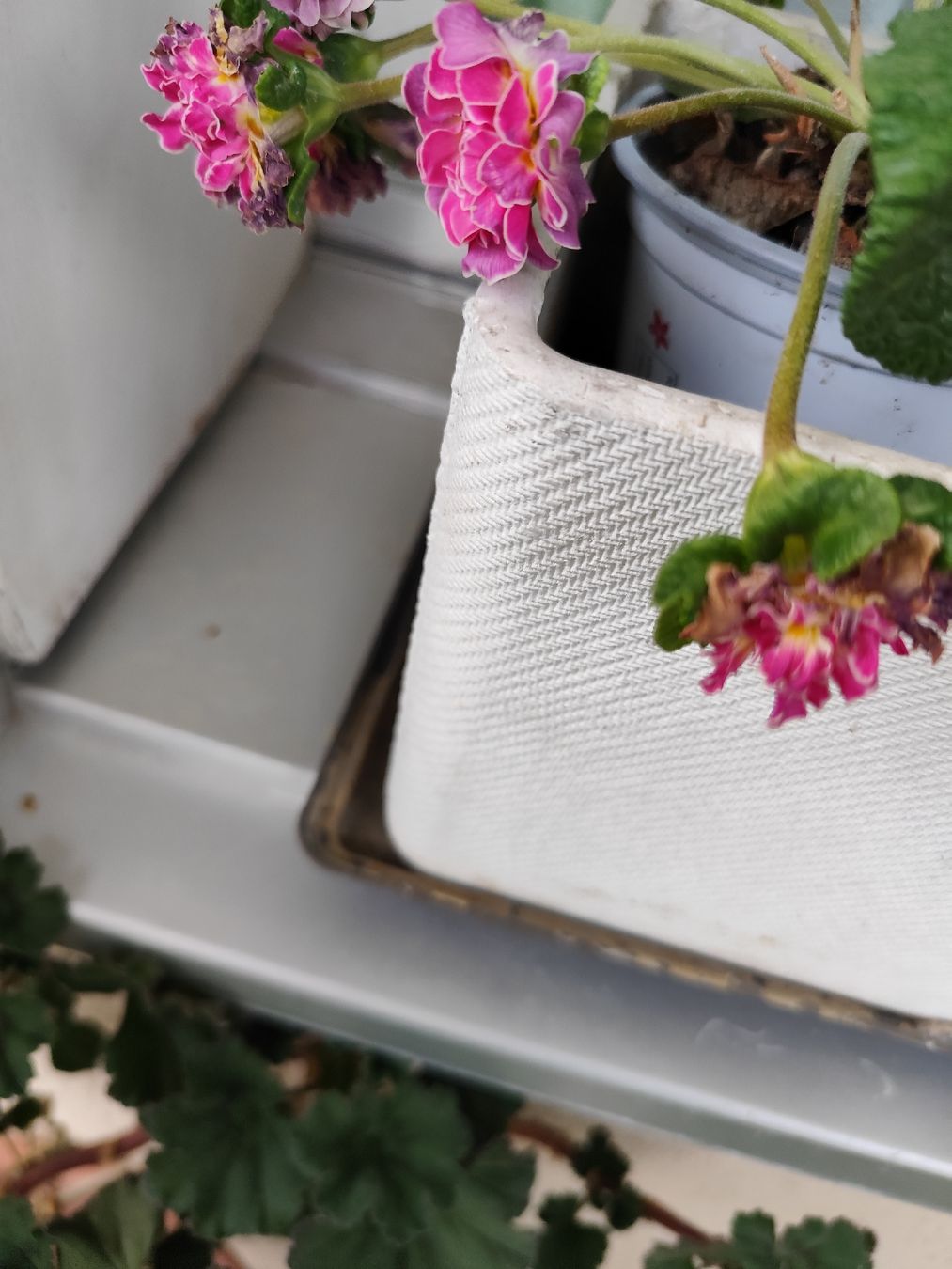 Vasi per fiori: Blumenkistli  – Nuovo (secondo la descrizione) da Grossdietwil venduto da bie_2bn5 2