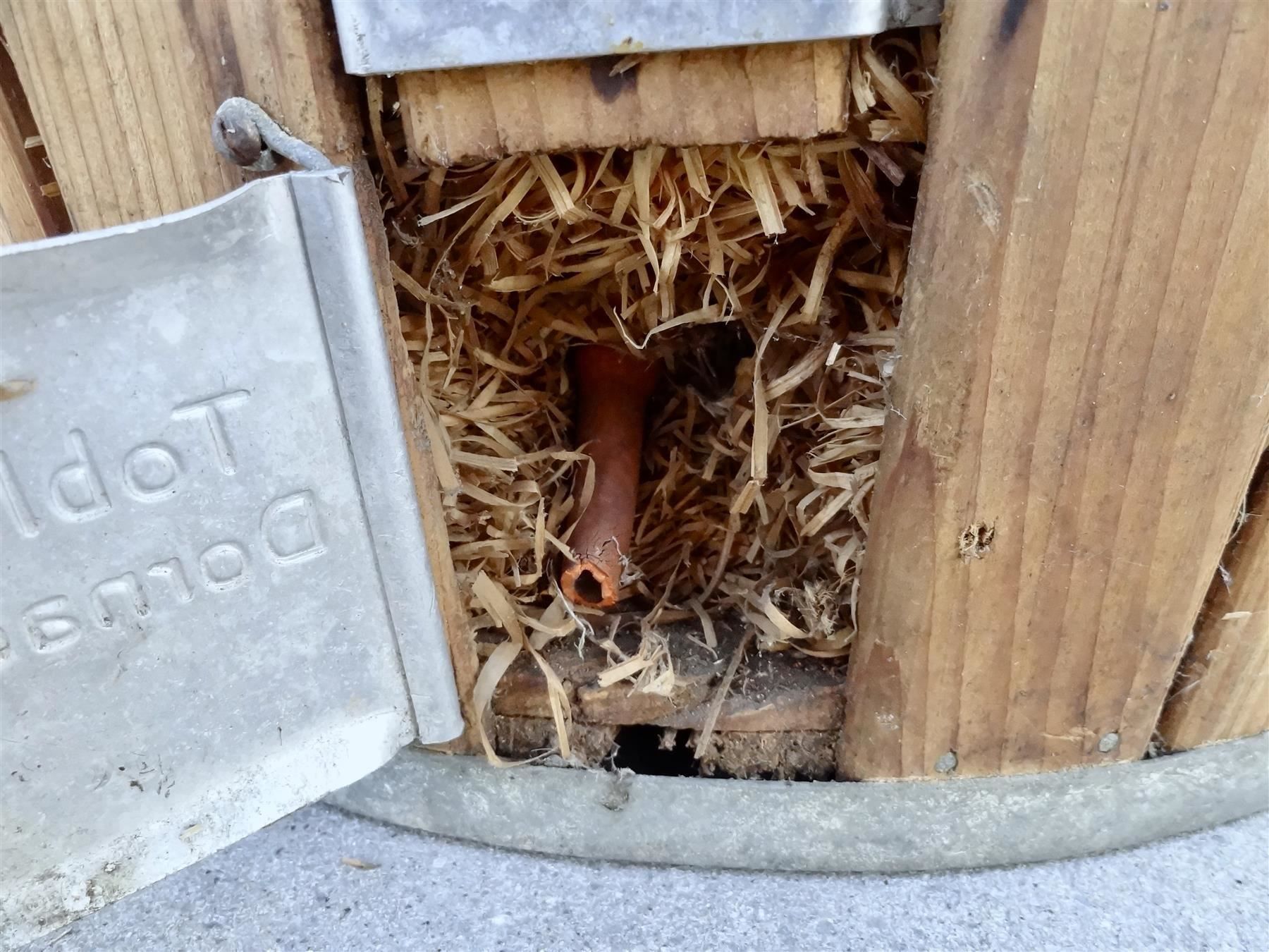Bottiglie: alte sehr grosse Korbflasche Holzkorb – Nuovo e nell'imballaggio originale da Kerzers venduto da Flaschenposten 9
