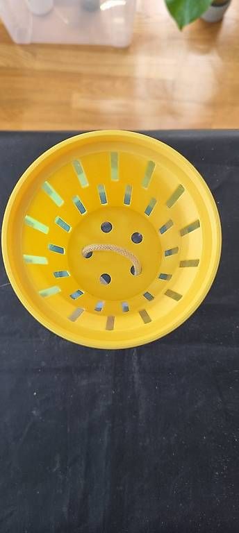 Piante & sementi: Hydrokultur & Semi-Hydro Anzuchttopf – Nuovo e nell'imballaggio originale da Wallenwil venduto da LadyLeaf_Ellis1 2