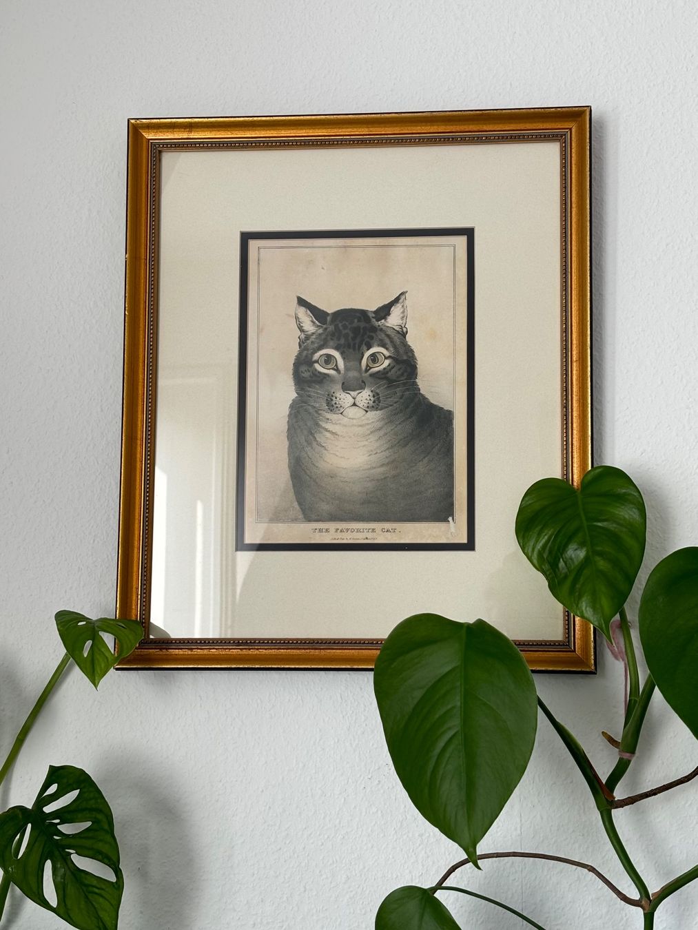 Foto & Immagini: Antikes Katzenbild im Goldrahmen – Usato da Zürich venduto da houseplantclub