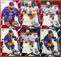 Sportzoo 25/26 - EV Zug (Pink & Blue)