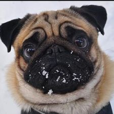 Profile image of avi_