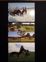 3 CP FRANCHES MONTAGNES - PETITS DEFAUTS - CHEVAUX - PFERDE