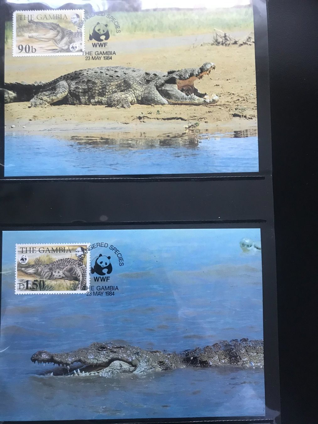 Tous les timbres: Gambia 1984 Satz WWF Nilkrokodil Maximumkarten – Neuf (Voir description) à Winterthur par schnueps 1