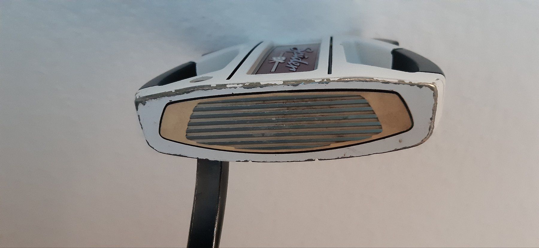 Taylor Made Schläger & Sets: TaylorMade Spider EX Putter – Gebraucht aus Obfelden von Visitor12 2