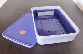 Tupperware Behälter