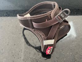 Hunde Geschirr S (braun)