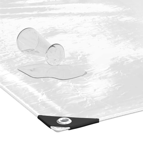 Altro: Bâche transparente avec œillets 2x6 m PVC – Nuovo e nell'imballaggio originale da Palézieux venduto da bantouklan1 3