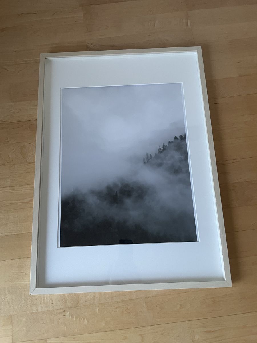 Foto & Immagini: Ikea Bilderrahmen mit schöner Fotografie eines Waldes – Usato da Thalwil venduto da Andieg 1