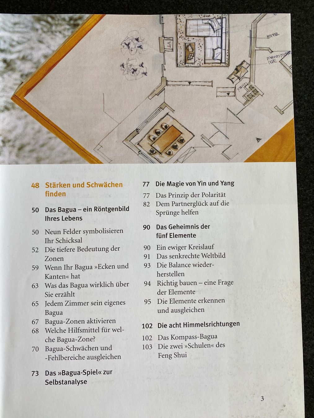 Libri: Günther Sator - Feng Shui – Usato da Meisterschwanden venduto da Lapins2019 2