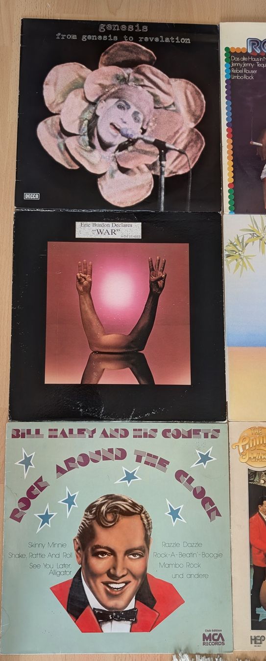 Dischi in vinile: Rock n Roll+ Pop Sammlung 28 LPs – Usato da Sarmenstorf venduto da bw68 2