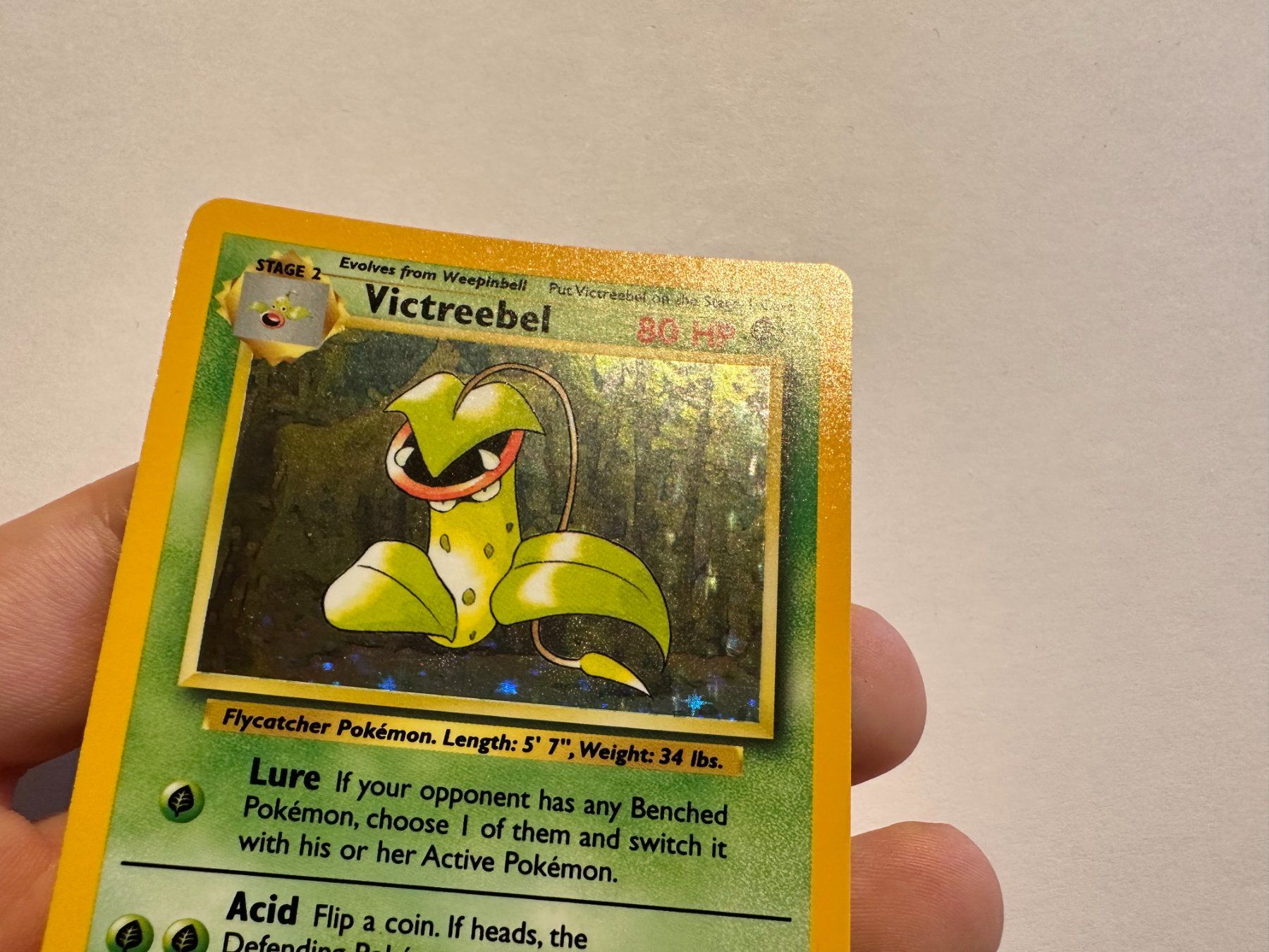 Pokémon Sammelbilder & Trading cards: Victreebel holo Jungle No Symbol ERROR EN – Gebraucht aus Hagendorn von Pokecollectorch 3