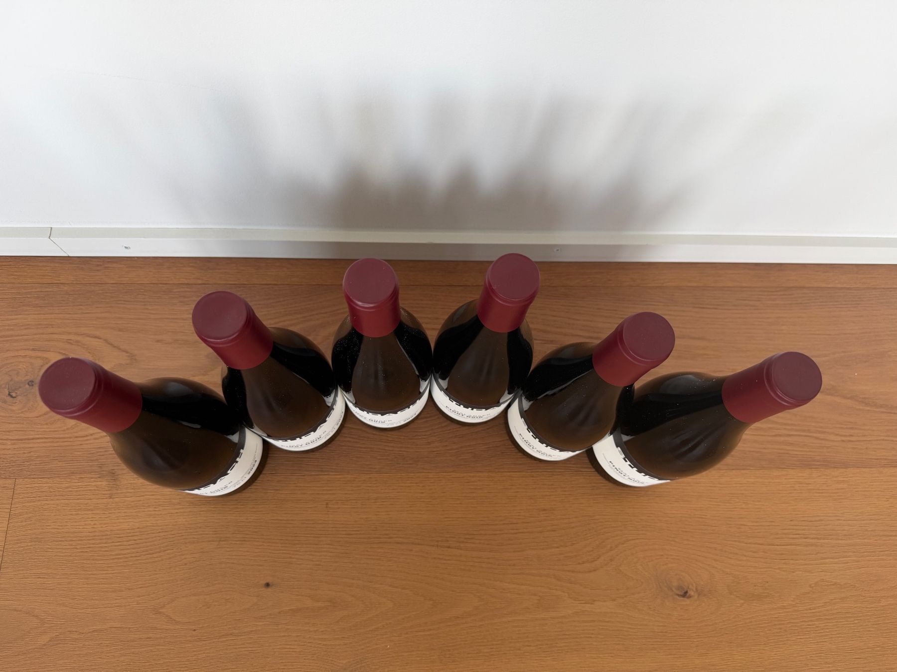 Studach Vino: Studach, Pinot Noir 2024 - 1 Flasche – Usato da Steinhausen venduto da jon_dc7h 1