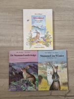 Stummel Bücher