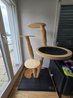 Katzenbaum