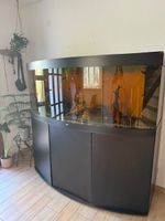 Aquarium juwel 450L