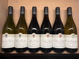 Lot de 6 Vins fins de Bourgogne - Dégustation d'été 🍷