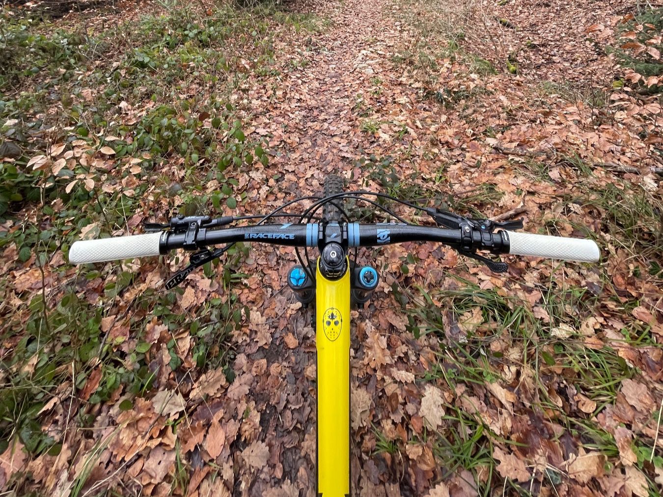 Rocky Mountain Bicycles Velos: VTT – Rocky Mountain Slayer 790 MSL 2017 – Gebraucht aus Neuchâtel von evitax 2