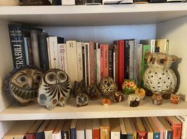 Collezione Gufi