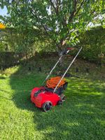 Einhell Elektro-Vertikutierer und Rasenlüfter GC-SA 1231/1