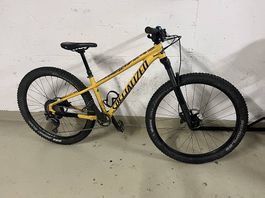 Specialized rockhopper MTB 26 Zoll Kinder