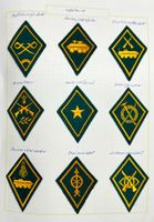 Armée badge abzeichen miroire Kragenspiegel uniforme