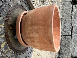 Zwei wunderschöne Terracotta-Töpfe mit Unterteller