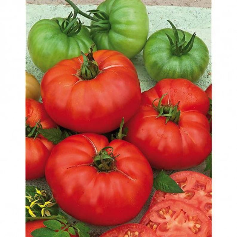 Piante & sementi: 30 Samen PANTANO ROMANESCO Tomate Alte Sorte IT – Nuovo (secondo la descrizione) da Ehrendingen venduto da VerveinaSamen 1