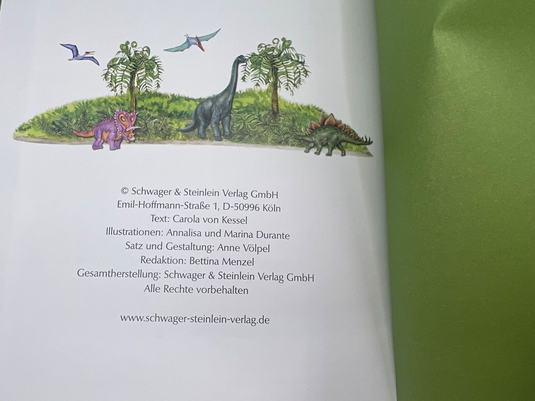 Bücher: 📖 Dinosauriergeschichten Vorlesebuch – Gebraucht aus Vaduz von NotNeeded 6