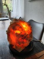 Urkorrallen Tischlampe