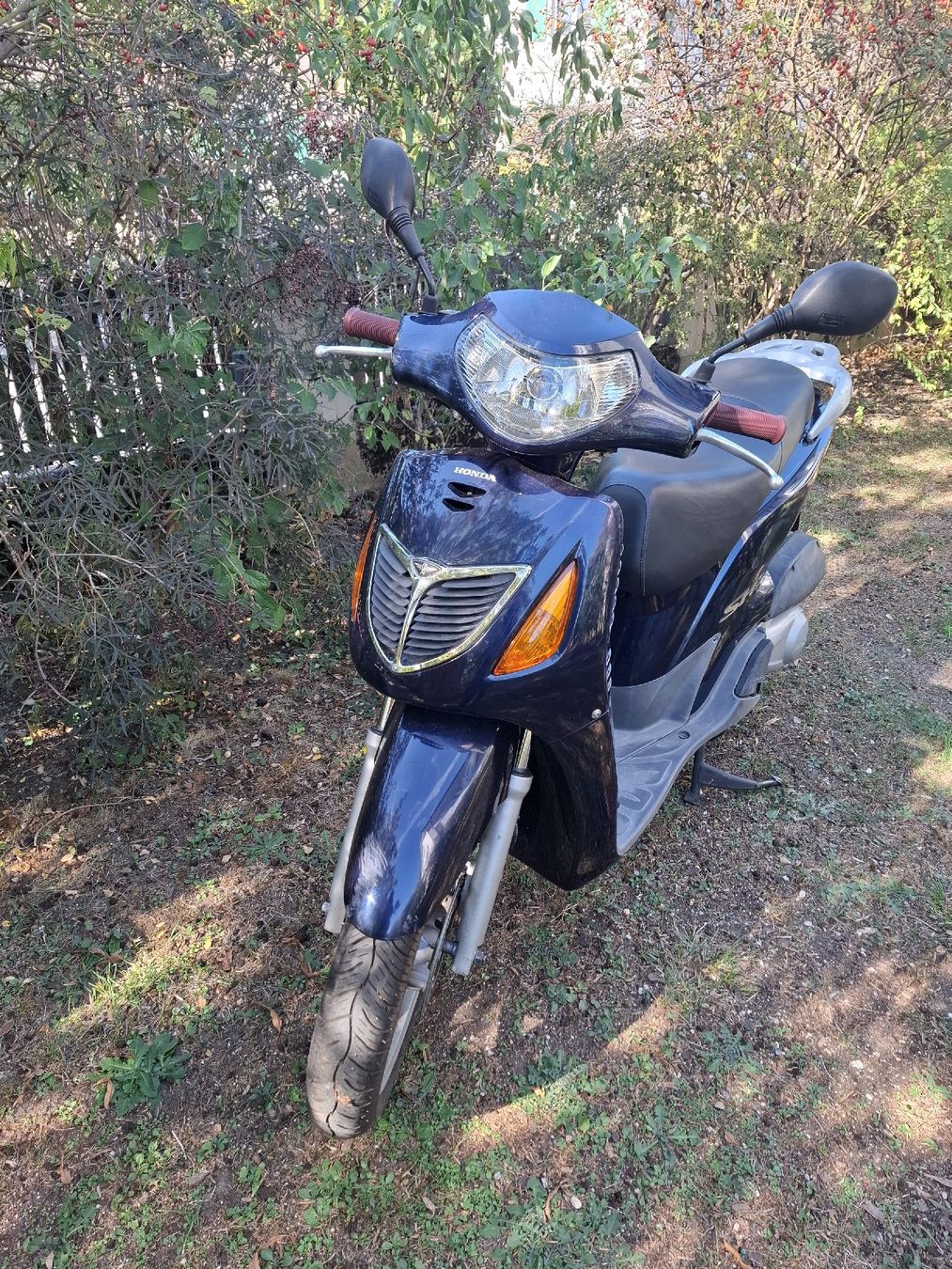 Honda Scooter: Honda sh 125 – Usato da Reinach BL venduto da chlaus04 4
