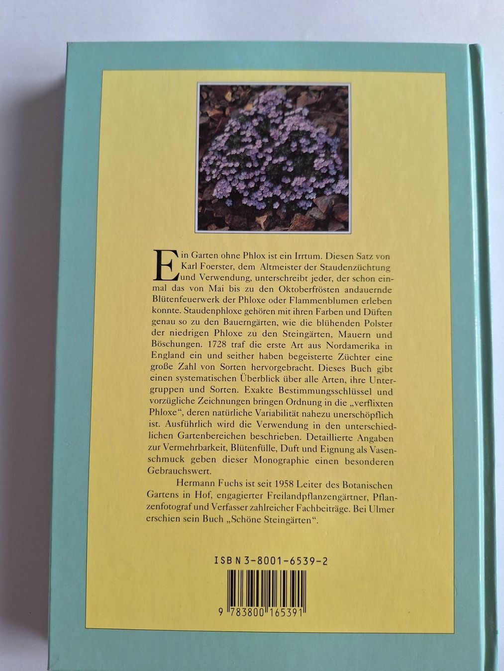 Libri: Phlox, Stauden- und Polsterphlox Buch – Usato da Zürich venduto da t24_de 1