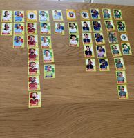 World cup 2026 panini WM