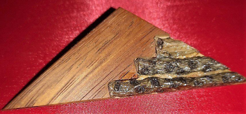 Spille & Fermagli: Brosche aus Holz und Rinde (2) – Nuovo (secondo la descrizione) da Lutzenberg venduto da Truhe