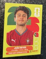 Panini Fifa World Cup 2026