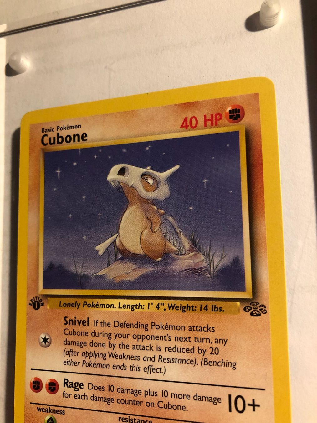 Cubone 1st Jungle - MINT - ab 1.- (Usato) a Giubiasco per CHF 17 – con ...