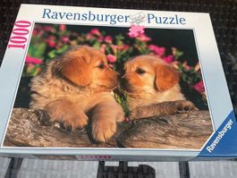 Ravensburger Puzzle Welpen 1000 Teile Komplett 70x50cm