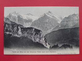 1908: Schynige Platte nach dem Faulhorn BE, schöne Karte.